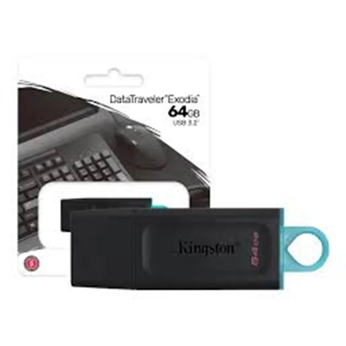 USB KINGSTON DTX/64GB 3.2